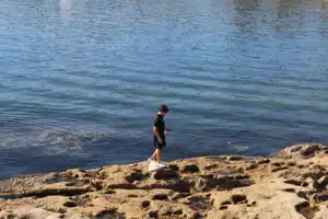 2025-06-22 La Perouse - IMG_2781_compressed_q50.webp